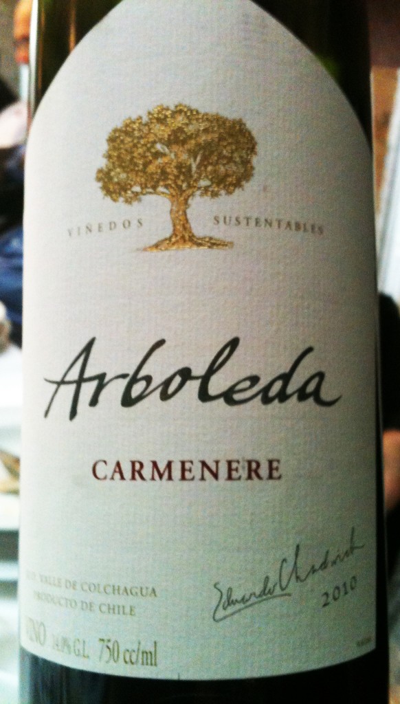 Arboleda Carmenère 582x1024 - Arboleda vinhos chilenos